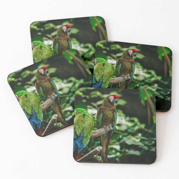 Item preview, Military Macaw designed and sold by Flora+Fauna.