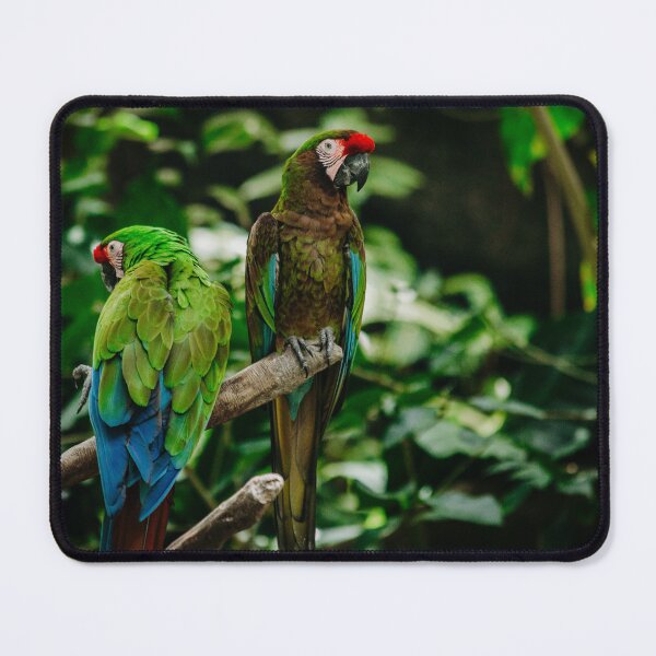 Item preview, Military Macaw designed and sold by Flora+Fauna.