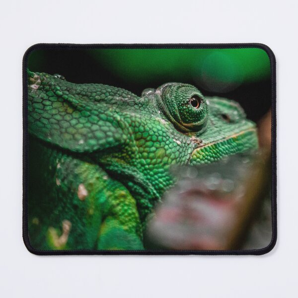 Item preview, Meller's Chameleon designed and sold by Flora+Fauna.