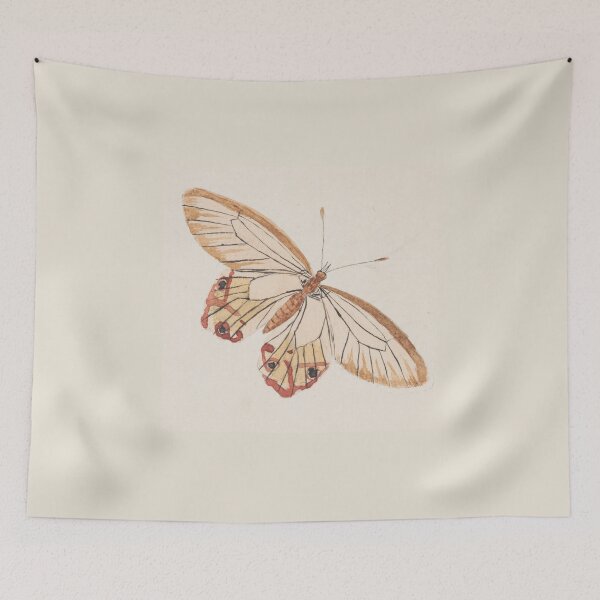 Item preview, Study of a Butterfly by Ann Lee designed and sold by Amanda1775.