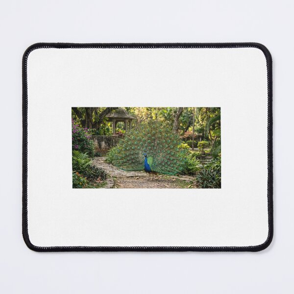 Item preview, Majestic Indian Peacock Displaying Vibrant Feathers designed and sold by Ak-art-shop.