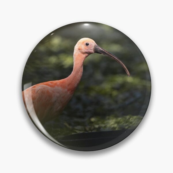 Item preview, Ibis designed and sold by Flora+Fauna.