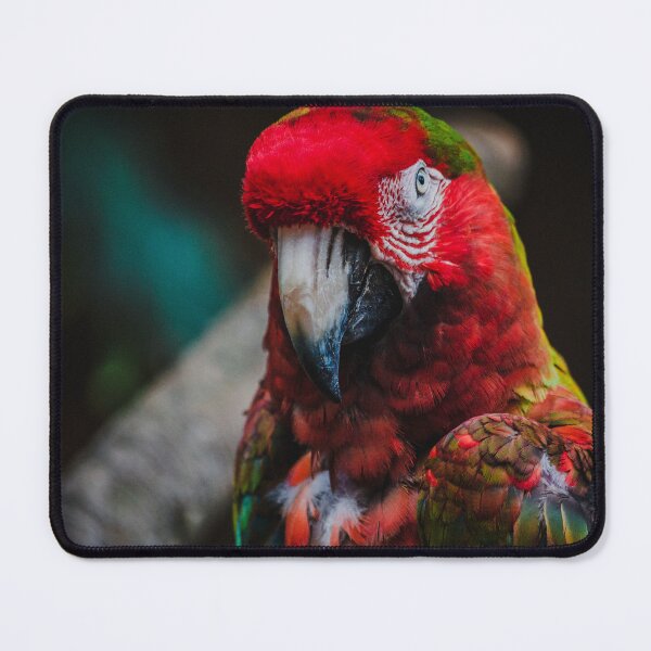 Item preview, Red and Green Macaw designed and sold by Flora+Fauna.