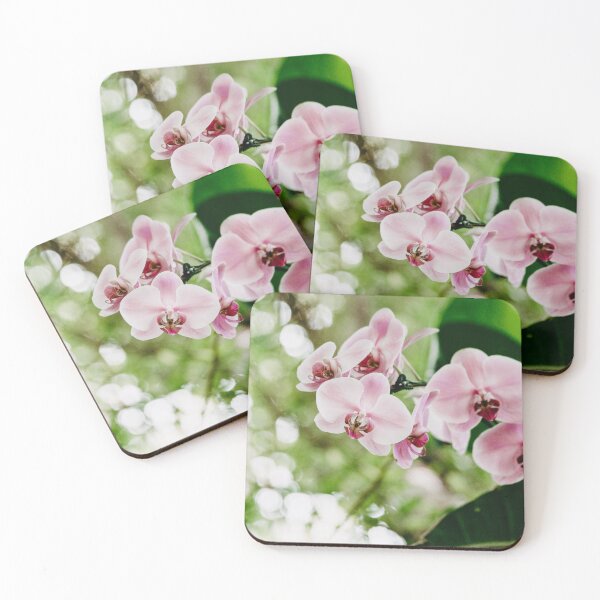 Item preview, Orchid designed and sold by Flora+Fauna.
