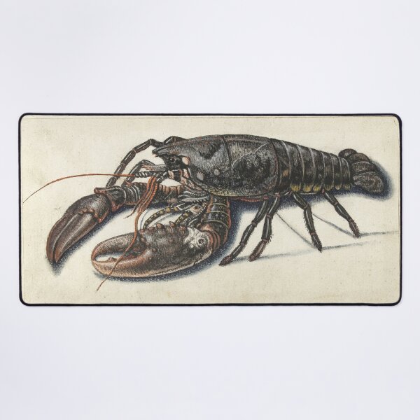 Item preview, Lobster (Homarus vulgaris) or Langostas designed and sold by The Ravens Ballad.
