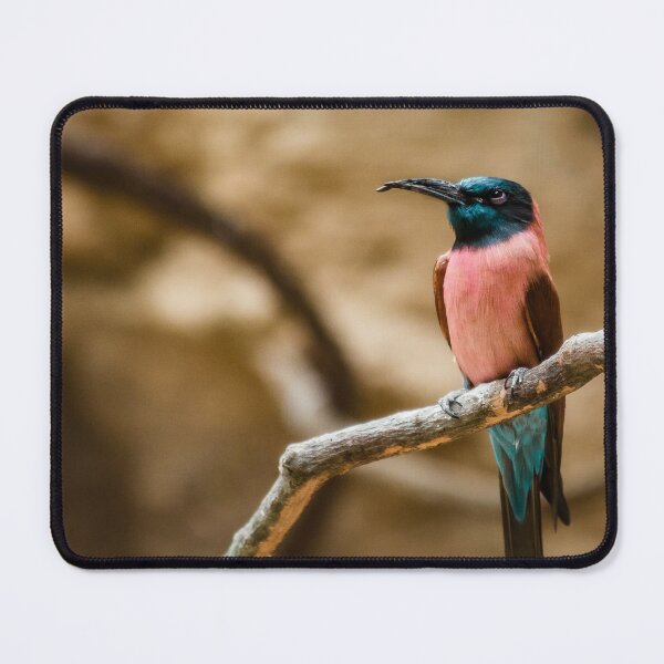 Item preview, Carmine Bee-eater designed and sold by Flora+Fauna.