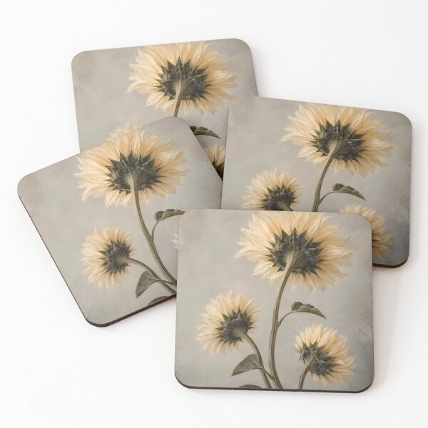Item preview, Three Cream Sunflowers in Soft Light designed and sold by Easternpantry.