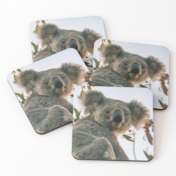 Item preview, Koala Smiling designed and sold by Taran Skye Photography .