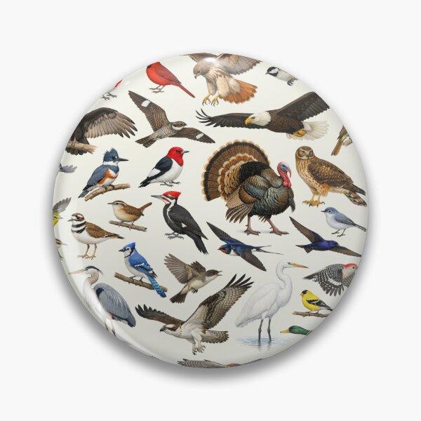 Item preview, Native Birds of Ohio Retro Identification Chart designed and sold by kakarikihill.