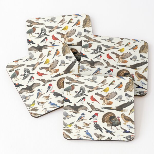 Item preview, Native Birds of Ohio Retro Identification Chart designed and sold by kakarikihill.