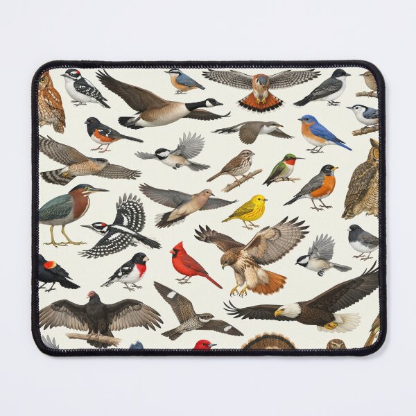 Item preview, Native Birds of Ohio Retro Identification Chart designed and sold by kakarikihill.