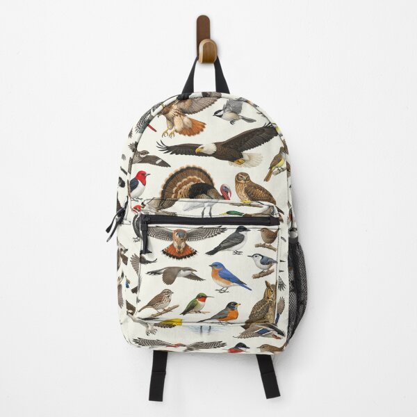 Item preview, Native Birds of Ohio Retro Identification Chart designed and sold by kakarikihill.
