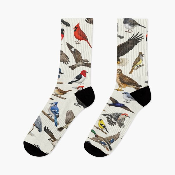 Item preview, Native Birds of Ohio Retro Identification Chart designed and sold by kakarikihill.