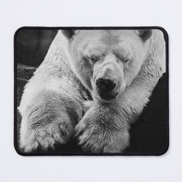 Item preview, Polar Bear designed and sold by Flora+Fauna.