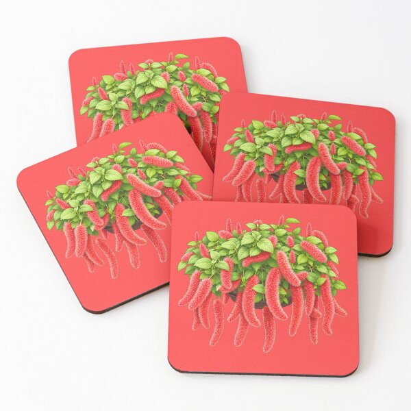 Item preview, Red Chenille Plant Botanical  designed and sold by bubblyn.