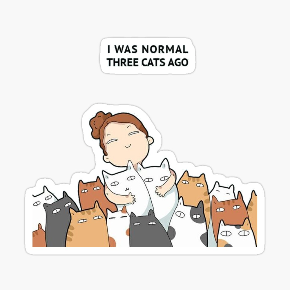 i was normal three cats ago