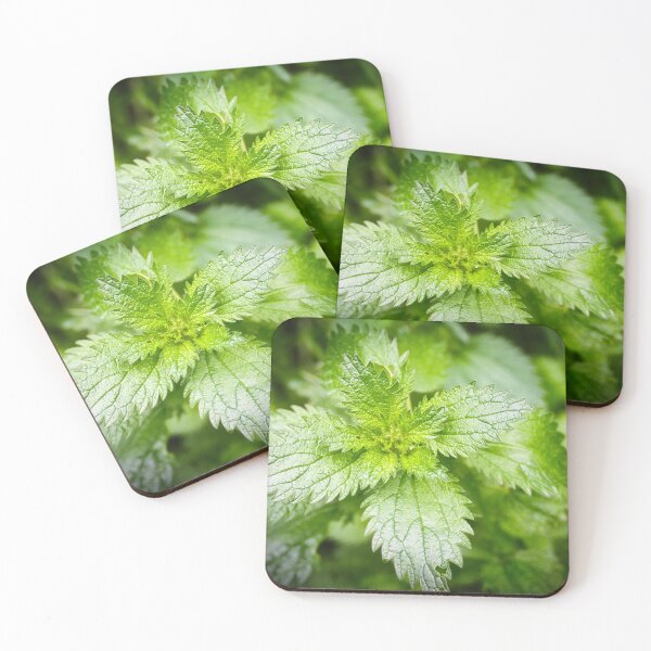 Item preview, Veins of Green designed and sold by wendyhattonphotography.