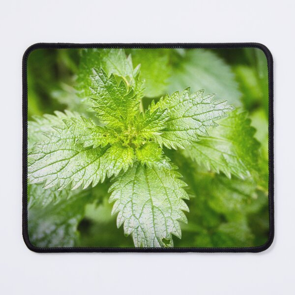 Item preview, Veins of Green designed and sold by wendyhattonphotography.