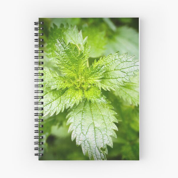 Item preview, Veins of Green designed and sold by wendyhattonphotography.