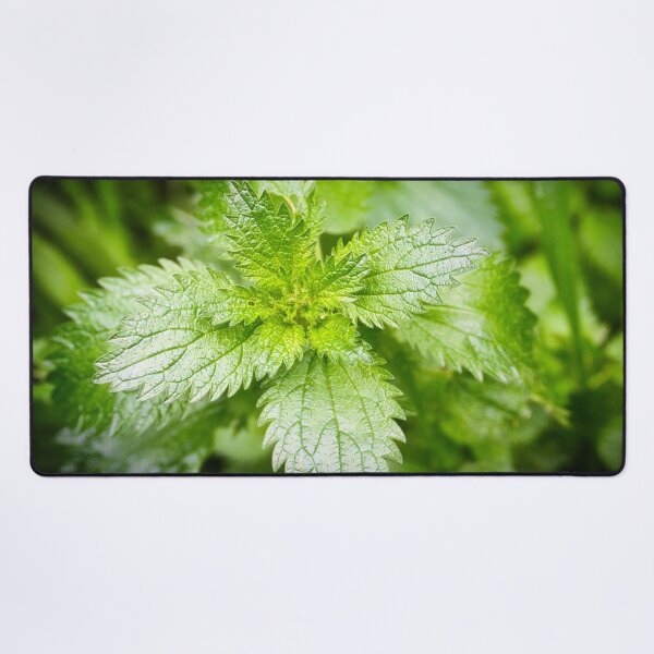 Item preview, Veins of Green designed and sold by wendyhattonphotography.