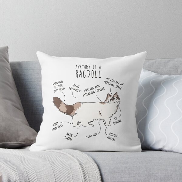Item preview, Anatomy of a Ragdoll Cat Funny Pet Owner Gift designed and sold by OlyvieArt.