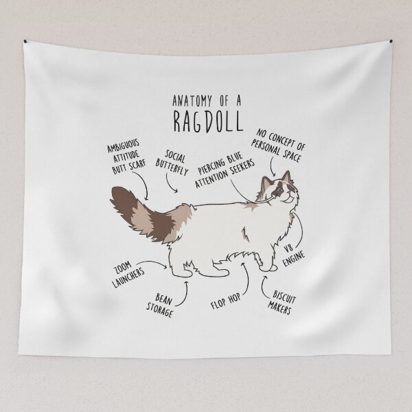 Item preview, Anatomy of a Ragdoll Cat Funny Pet Owner Gift designed and sold by OlyvieArt.