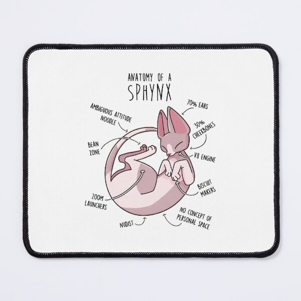 Item preview, Sphynx Cat Anatomy Funny Pet Owner Gift designed and sold by OlyvieArt.