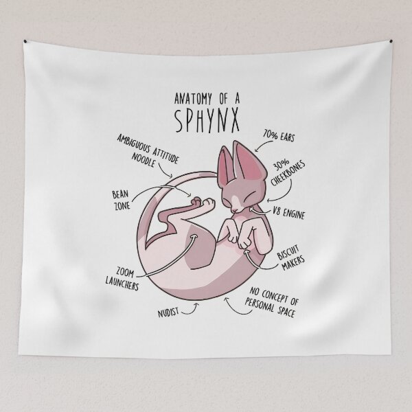 Item preview, Sphynx Cat Anatomy Funny Pet Owner Gift designed and sold by OlyvieArt.