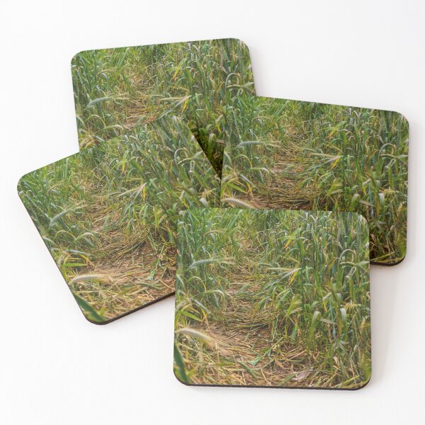 Item preview, Narrow Path Through Tall Green Wheat Field Trail In Peaceful Rural Countryside designed and sold by Nmallia.