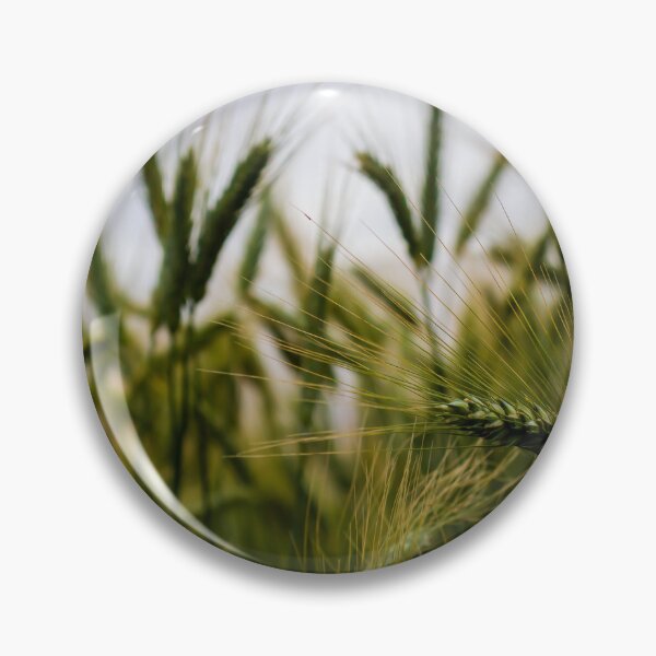 Item preview, Green Wheat Field Close-Up With Ripening Ears in Summer Rural Agriculture Landscape designed and sold by Nmallia.