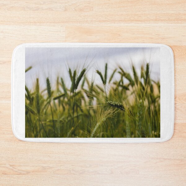Item preview, Green Wheat Field Close-Up With Ripening Ears in Summer Rural Agriculture Landscape designed and sold by Nmallia.