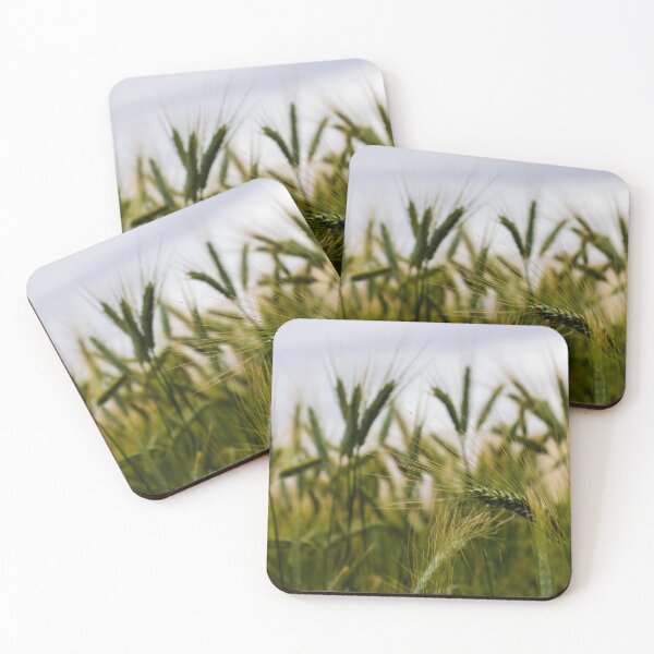 Item preview, Green Wheat Field Close-Up With Ripening Ears in Summer Rural Agriculture Landscape designed and sold by Nmallia.
