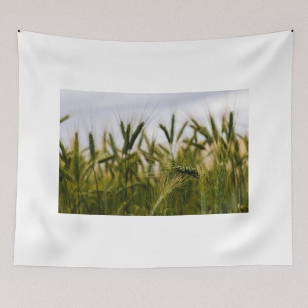 Item preview, Green Wheat Field Close-Up With Ripening Ears in Summer Rural Agriculture Landscape designed and sold by Nmallia.