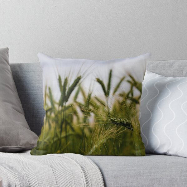 Item preview, Green Wheat Field Close-Up With Ripening Ears in Summer Rural Agriculture Landscape designed and sold by Nmallia.