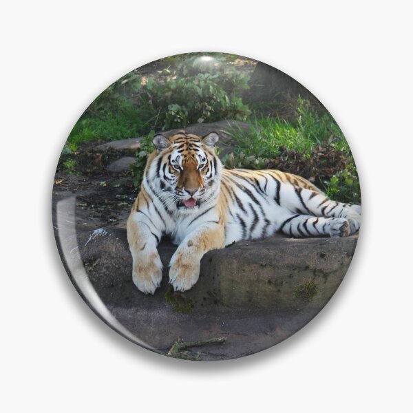 Item preview, Tiger Reflection designed and sold by Murph's Images.