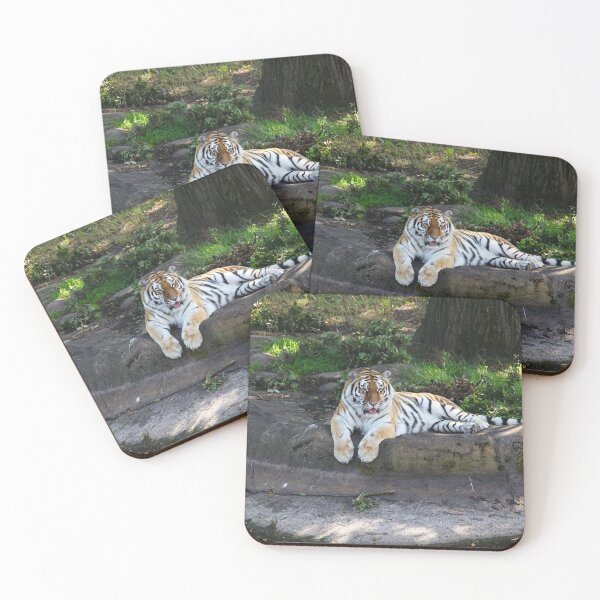 Item preview, Tiger Reflection designed and sold by Murph's Images.