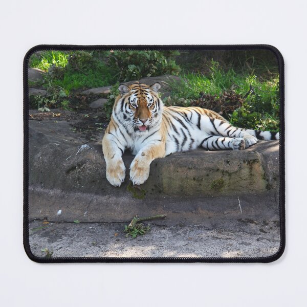 Item preview, Tiger Reflection designed and sold by Murph's Images.