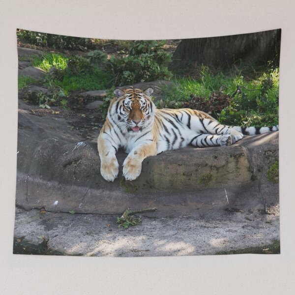 Item preview, Tiger Reflection designed and sold by Murph's Images.