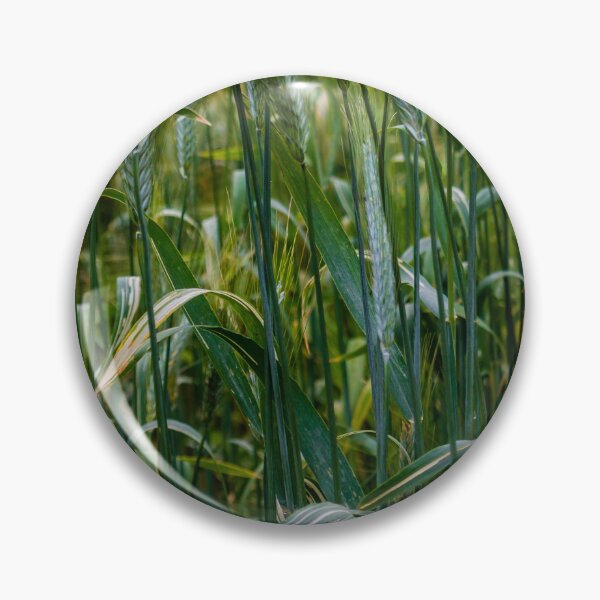 Item preview, Green Wheat Field Closeup With Growing Grain Stalks In Lush Rural Summer Landscape designed and sold by Nmallia.