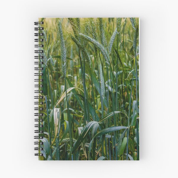 Item preview, Green Wheat Field Closeup With Growing Grain Stalks In Lush Rural Summer Landscape designed and sold by Nmallia.