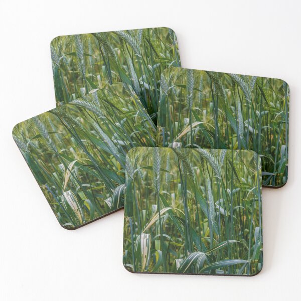 Item preview, Green Wheat Field Closeup With Growing Grain Stalks In Lush Rural Summer Landscape designed and sold by Nmallia.