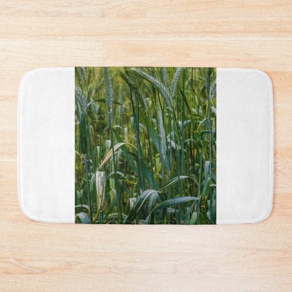 Item preview, Green Wheat Field Closeup With Growing Grain Stalks In Lush Rural Summer Landscape designed and sold by Nmallia.