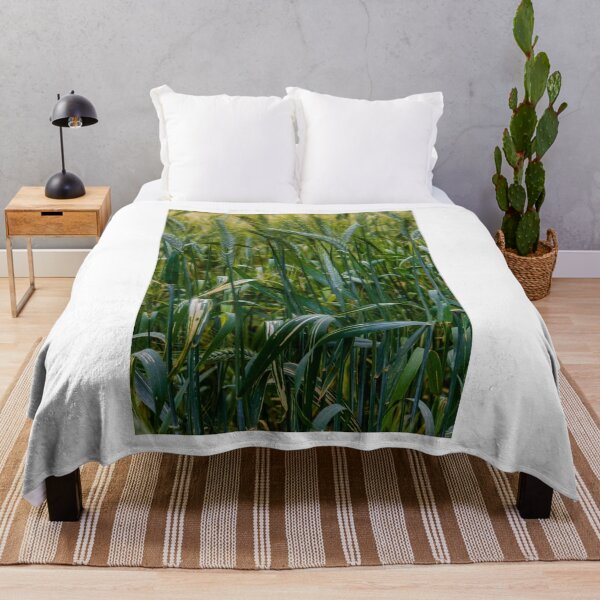 Item preview, Green Wheat Field Closeup With Growing Grain Stalks In Lush Rural Summer Landscape designed and sold by Nmallia.