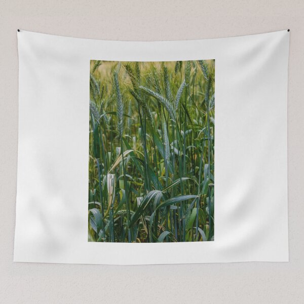 Item preview, Green Wheat Field Closeup With Growing Grain Stalks In Lush Rural Summer Landscape designed and sold by Nmallia.