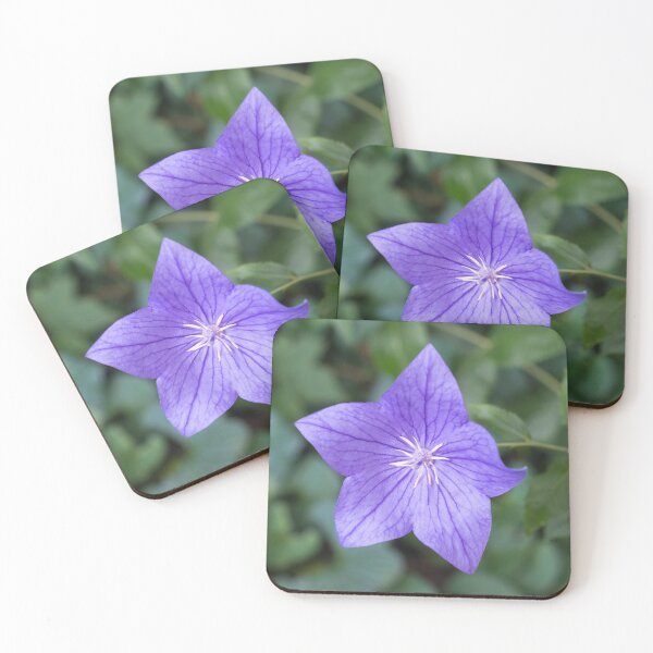 Item preview, Elegant Violet Balloon Flower Blossom designed and sold by Georgia Mizuleva.