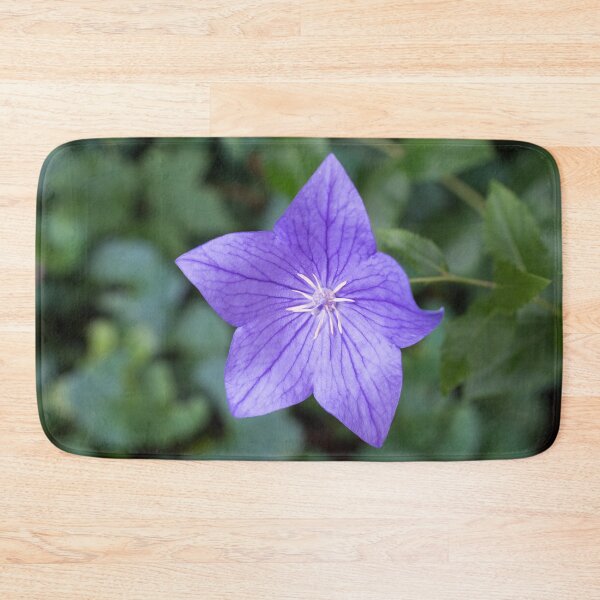 Item preview, Elegant Violet Balloon Flower Blossom designed and sold by Georgia Mizuleva.