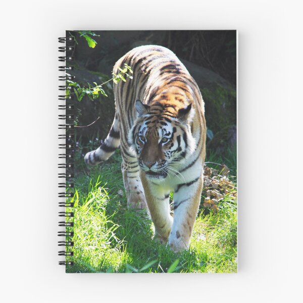 Item preview, Prowling Tiger designed and sold by Murph's Images.