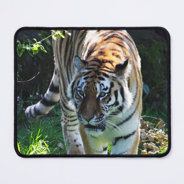 Item preview, Prowling Tiger designed and sold by Murph's Images.