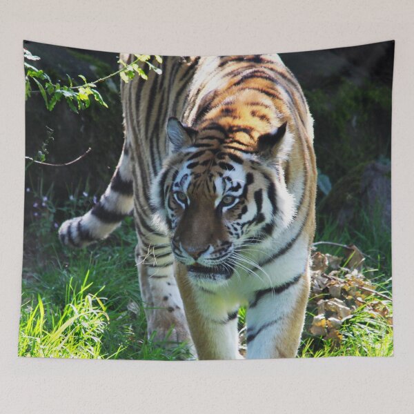 Item preview, Prowling Tiger designed and sold by Murph's Images.