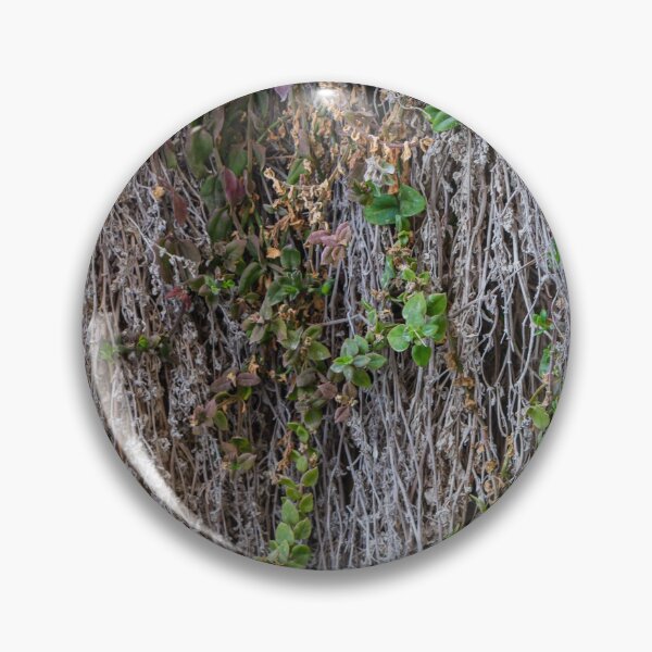 Item preview, Dried Vines With Fresh Green Leaves Clinging to Textured Wall Creating Organic Contrast designed and sold by Nmallia.